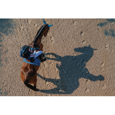 Brands og discipliner