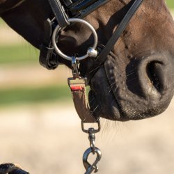 Longerings-delta IRH