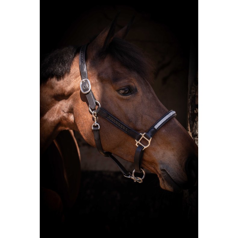 PENELOPE L�dergrime Harmonie sort cob