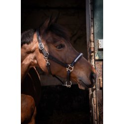 PENELOPE L�dergrime Harmonie sort cob