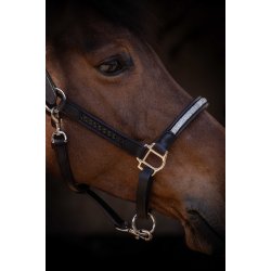 PENELOPE L�dergrime Harmonie sort full