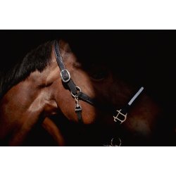 PENELOPE L�dergrime Harmonie sort cob