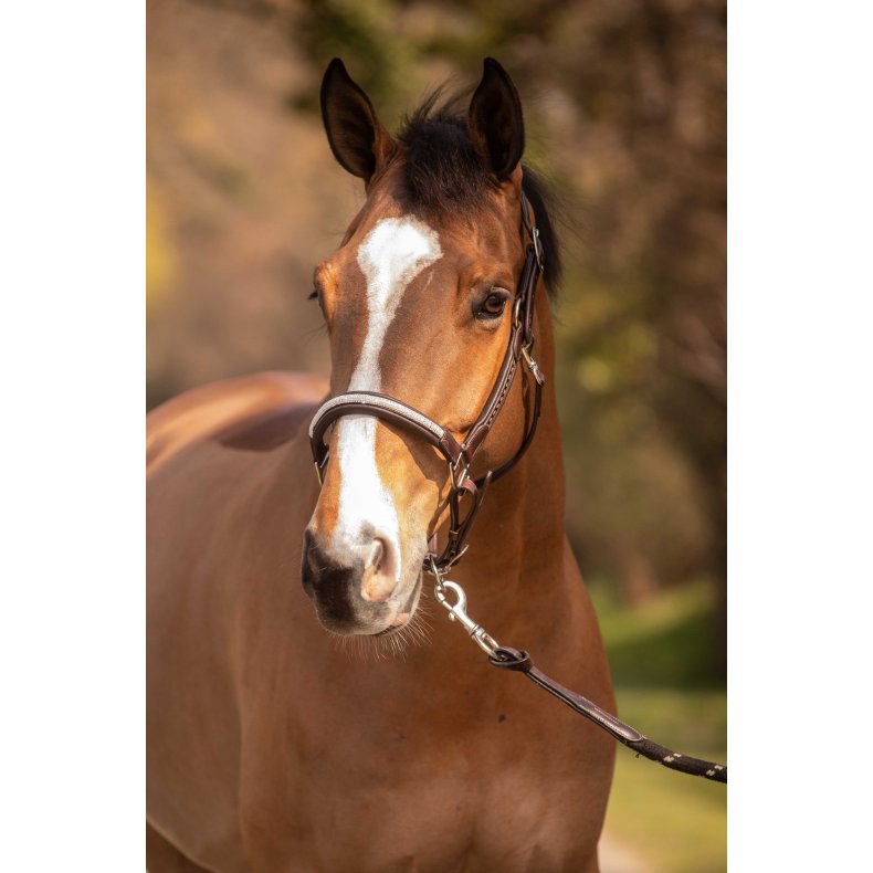 PENELOPE L�dergrime Harmonie brun cob