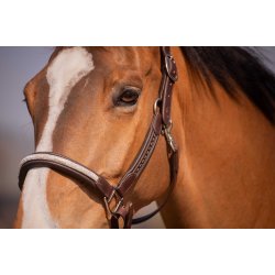 PENELOPE L�dergrime Harmonie brun cob