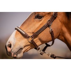 PENELOPE L�dergrime Harmonie brun cob