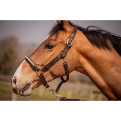 PENELOPE L�dergrime Harmonie brun cob