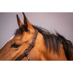 PENELOPE L�dergrime Harmonie brun cob