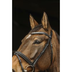 NORTON PRO Galon trense sort