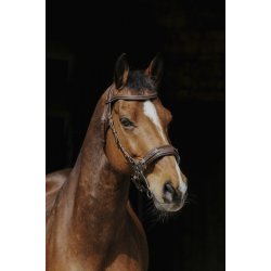 NORTON PRO Hackamore trense sort