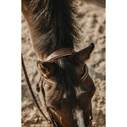 ERIC THOMAS Trense Work