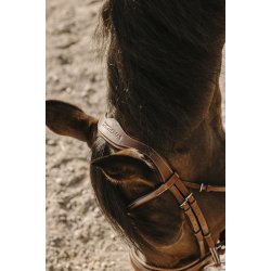 ERIC THOMAS Trense Visby brun