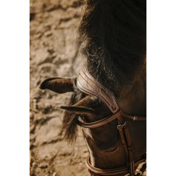 ERIC THOMAS Trense Crown brun