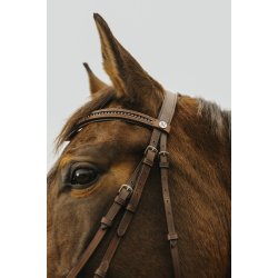 NORTON CLUB Trense Strass