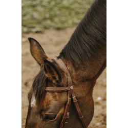 NORTON CLUB Trense Square