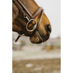 NORTON CLUB Trense Easy