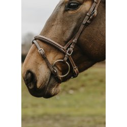 NORTON CLUB Trense Deco brun