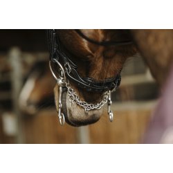 NORTON PRO Basal Kandar sort