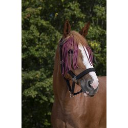 NORTON Fluepandeb�nd, flere farver 