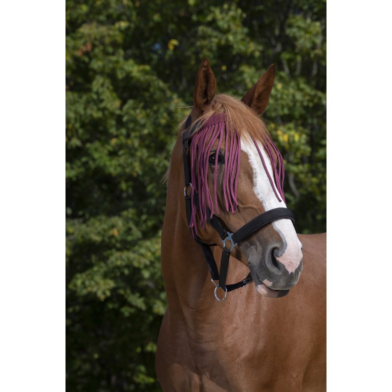 NORTON Fluepandeb�nd, flere farver  Cob Bordeaux