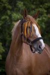 Pony, Navy/orange