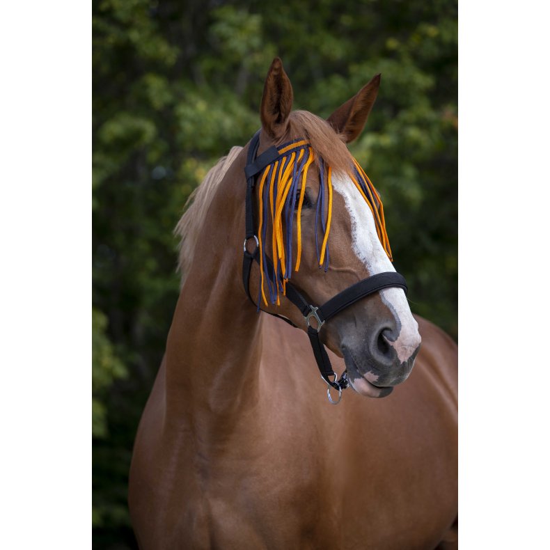 NORTON Fluepandeb�nd, flere farver  Pony Navy/orange