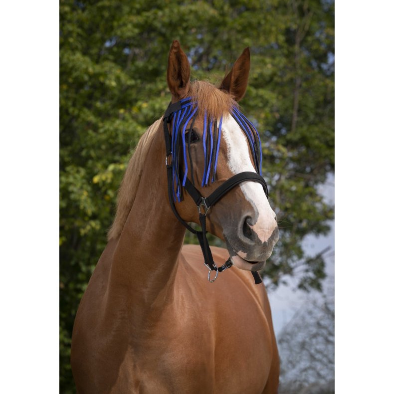 NORTON Fluepandeb�nd, flere farver  Pony Bl�/sort