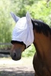 Pony