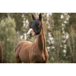 LAMI-CELL Lycra fluemaske