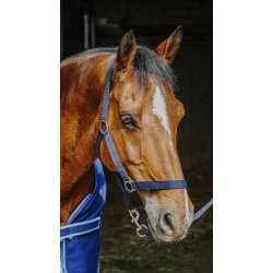 RIDING WORLD basis s�t