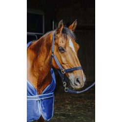 RIDING WORLD basis s�t