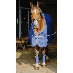 RIDING WORLD basis s�t