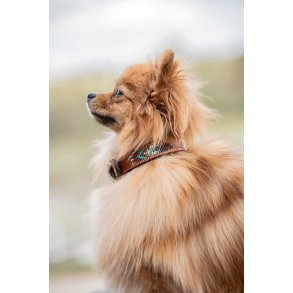 P&Eacute;N.PEARL DOG COLL.HAV/PINK 30