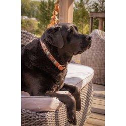 P&Eacute;N.PEARL DOG COLL.HAV/PINK 30