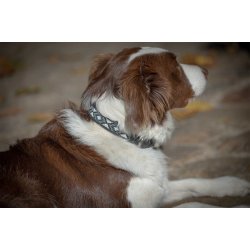 P&Eacute;N.PEARL DOG COLL.HAV/PINK 30