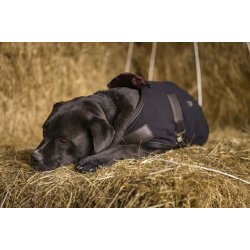 DIEGO &amp; LOUNA Fleece hunded�kken sort