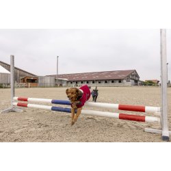 DIEGO &amp; LOUNA Fleece hunded�kken Bordeaux