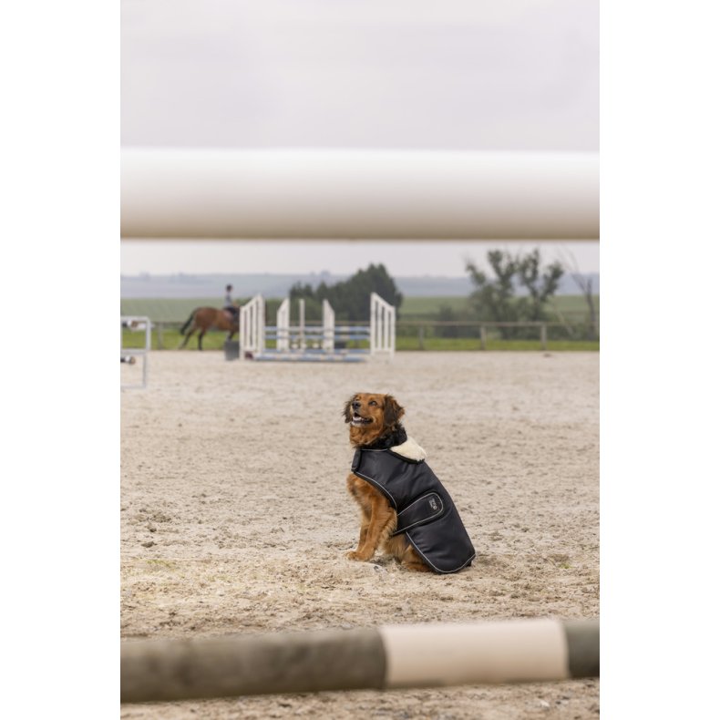 DIEGO &amp; LOUNA Teddy hundedkken sort