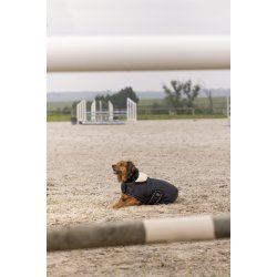 DIEGO &amp; LOUNA Teddy hunded�kken sort