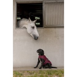 DIEGO &amp; LOUNA Teddy hundedkken bordeaux