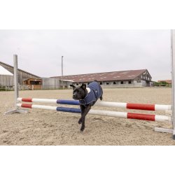 Diego og Louna Teddy hunded�kken navy