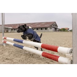 Diego og Louna Teddy hunded�kken navy