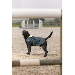 DIEGO &amp; LOUNA Teddy hunded�kken gr�n