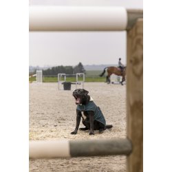 DIEGO &amp; LOUNA Teddy hunded�kken gr�n