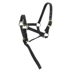 NORTON Nylon Grime flere farver