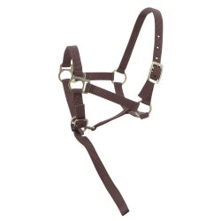 NORTON Nylon Grime flere farver