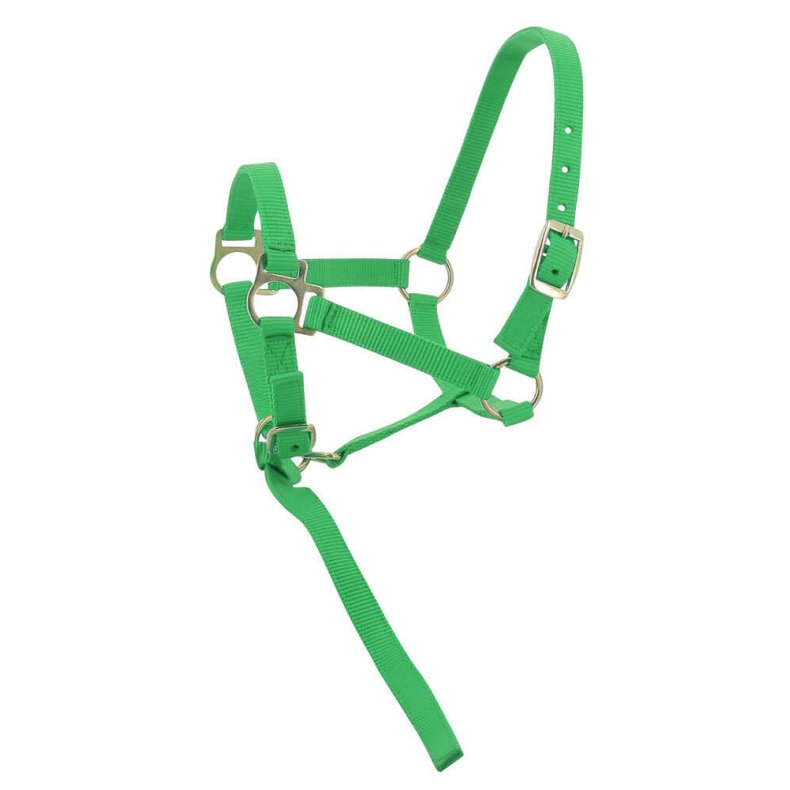 NORTON Nylon Grime flere farver F�l Lysegr�n