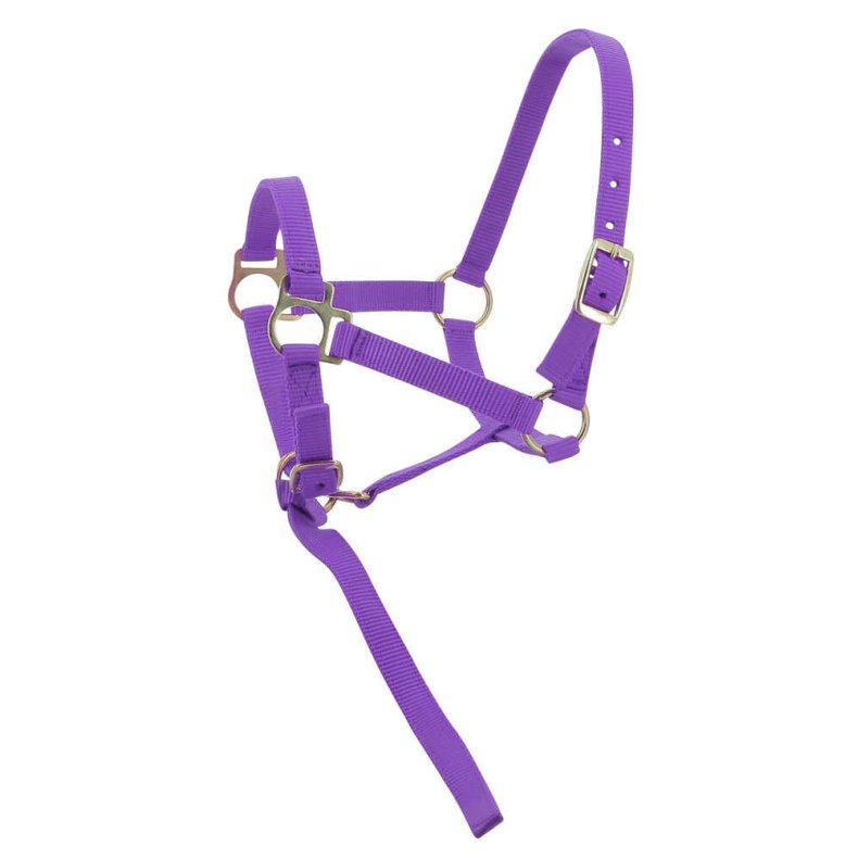 NORTON Nylon Grime flere farver F�l Lilla