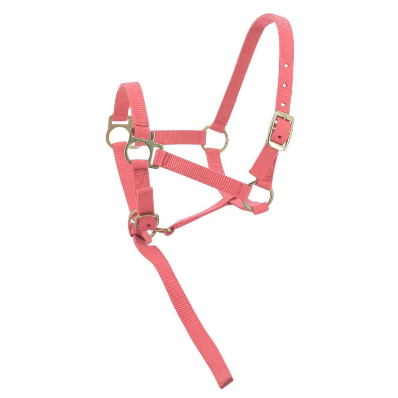 NORTON Nylon Grime flere farver F�l Pink