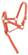 F�l, Orange