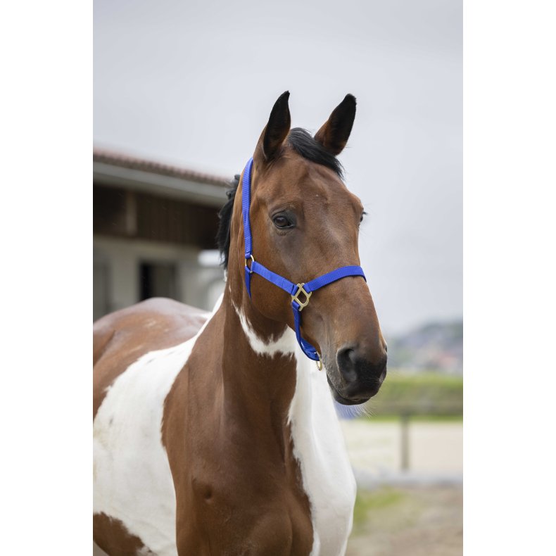 NORTON Nylon Grime flere farver Pony Royalbl�